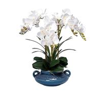 QSYJCCXD Flor Artificial de orquídea Artificial con jarrón de cerámica orquídeas de Falso de Seda 20in Phalaenopsis Flores de orquídeas Artificiales Flores Falsas Muy Naturales