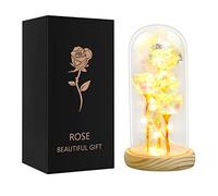 Qtuie Regalos para mujeres/novia/mamá Rosa eterna en tarro La Bella y la Bestia Rosa eterna en cúpula de cristal con luz LED Cumpleaños San Valentín Navidad Regalo de cumpleaños para mujer