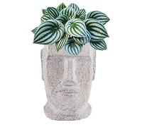 QTYQWC Contenedor de Adornos de Ornamentos de Figuras de la Estatua de la Isla de la Isla de Pascua de 7.5 "