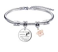 QTZXZX Regalos originales para amigos，pulsera amigos para siempre，pulsera de la amistad amigos，pulsera amigoaLa vida nos hizo amigas, pero el tiempo Hermanas
