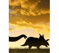 Quaderno per bisogni speciali: Formato Letter, righe di 9 mm alternate bianche e grigie con linee nere ad alto contrasto-98 pagine+ pagina d’intestazione-pagine numerate