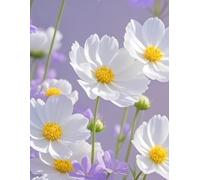 Quaderno Scolastico - Copertina Personalizzabile con Nome, Cognome, Materia Materia