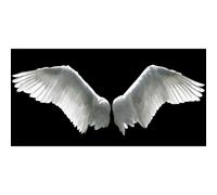 Quadro ALI D'ANGELO G2216 PINTDECOR