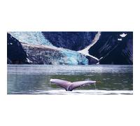 Quadro BALENA G1534 PINTDECOR