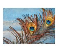 Quadro DOS PLUMAS DE PAVO REAL PINTDECOR G4050