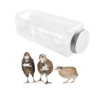 Quail Bird Feeder - Clear Bottle Feeder for Small Birds | 4 Cute Bear Feeding Ports with No Design, Portable Cage Accessory for Quail Parrots Budgies Finches Basilisks, Easy Fill Hanging Feeders
