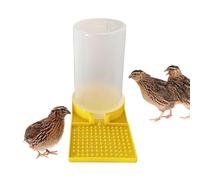 Quail Feeder - Chicken Waterer | Large Capacity Clear no Waste Quail Feeder for Geese Ducks Chicks Turkey Bunny Bird, Leakproof Poultry Feeding Container, Yellow & White PP