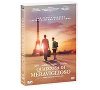 Qualcosa Di Meraviglioso