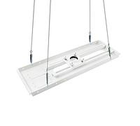 QualGear Adaptador de Techo suspendido de Tubo de extensión Pro-AV de 1,5 Pulgadas para proyector