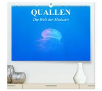 Quallen. Die Welt der Medusen (hochwertiger Premium Wandkalender 2026 DIN A2 quer), Kunstdruck in Hochglanz: Die erstaunlich schönen Lebensformen der Medusen