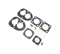 Qualoramall Kit de reparación de carburador para motores SOLEX 44 PA1, compatible con motores AQ115A AQ145A AQ170C BB115A BB170B, sustituye a 856472 841292 856471 SIE18-7000