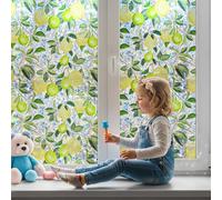 Qualsen Vinilo para Ventana Efecto Arcoiris Vinilos para Cristales Patrón de Limonero Electrostática Decorativos Vinilo Adhesivo Cristal Anti UV Lámina Privacidad Ventana para Hogar 30x100cm