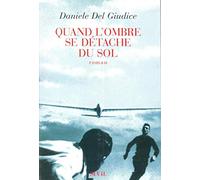 Quand l'ombre se détache du sol (La Librairie du XXIe siècle)
