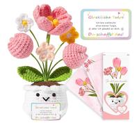 QUANMAITONG Amuleto de la suerte, regalo para mujeres y novias, examen de amuleto de la suerte, crea el regalo de mutuo, regalos para cumpleaños, Navidad, Año Nuevo