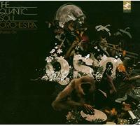 Quantic Soul Orchestra - Pushing On