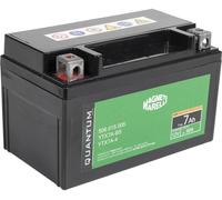 QUANTUM ENERGY 10831 Batería