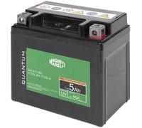 QUANTUM ENERGY 3623 Batería