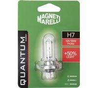Quantum Energy Bombilla Magneti Marelli H7 para coche individual, +50% de luz, 12 V, 55 W, conexión PX26d