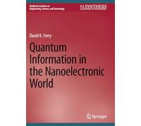 Quantum Information in the Nanoelectronic World
