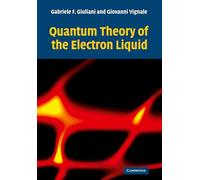 Quantum Theory of the Electron Liquid Paperback
