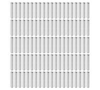 QUARKZMAN 100Pcs Pasadores De 3mm x 16mm, 304 Acero Inoxidable Cilíndricos Soporte Para Estantes Pasadores De Posicionamiento Elementos De Fijación Para Estanterías (GB119), Plateado
