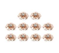 QUARKZMAN 10Pcs Aplicaciones De Flores Con Lentejuelas Y Cuentas, 25mm Aplicación De Flores Hechas A Mano Con Cristales Para Vestidos Bolsas Diademas Decoración, Rosa Claro