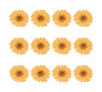 QUARKZMAN 12 Piezas De Flores Secas Prensadas 1-1.2" Flores De Crisantemo Coloridas A Granel para Arte En Uñas Resina Joyería Velas Tarjetas Decoración De Fundas De Teléfono Naranja