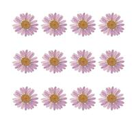 QUARKZMAN 12Pcs Flores Secas Prensadas, 1-1.2" Flores De Crisantemo Coloridas A Granel para Arte En Uñas, Resina, Joyería, Velas, Tarjetas, Scrapbooking, Lila Claro