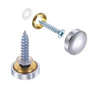 QUARKZMAN 20 tapas para tornillos, tornillos de latón para espejos, tapas decorativas, sujetadores de clavos para letreros, publicidad, 14 mm de diámetro, plata pulida