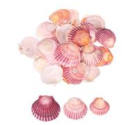 QUARKZMAN 30 Piezas De Conchas De Vieira 1.6"-2" Conchas De Mar Naturales Al por Mayor para Pintura DIY Acuario Paisaje Fiesta con Tema De Playa Bodas Y Decoración del Hogar Color Púrpura