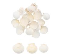QUARKZMAN 30 Piezas De Conchas De Vieira 1.6"-2" Conchas Naturales De Mar Al por Mayor para Pintura DIY Acuario Paisaje Fiesta con Tema De Playa Bodas Y Decoración del Hogar Blanco