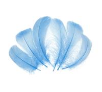 QUARKZMAN 300 Pcs Plumas Artesanales Azul Claro, Plumas De Colores De 2-4 Pulgadas Para Manualidades, Plumas Esponjosas Al Por Mayor Para Proyectos DIY, Materiales Para Atrapasueños,