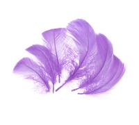 QUARKZMAN 300 Pcs Plumas Artesanales Color Lila Claro, Plumas De Colores De 2-4 Pulgadas Para Manualidades, Plumas Esponjosas Al Por Mayor Para Proyectos DIY, Materiales Para Atrapasueños,