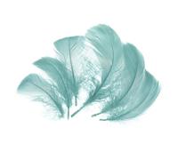 QUARKZMAN 300 Pcs Plumas Artesanales Verde Gris, Plumas De Colores De 2-4 Pulgadas Para Manualidades, Plumas Esponjosas Al Por Mayor Para Manualidades DIY, Suministros Para Atrapasueños,