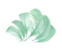 QUARKZMAN 300 Pcs Plumas Artificiales Color Verde Hielo, Plumas De 2-4 Pulgadas Para Manualidades, Plumas Esponjosas Al Por Mayor Para Proyectos DIY, Materiales Para Atrapasueños,