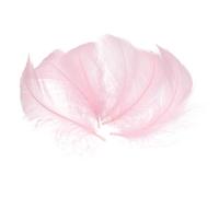 QUARKZMAN 300 Pcs Plumas Rosadas Para Manualidades, Plumas De Colores De 2-4 Pulgadas Para Manualidades, Plumas Esponjosas Al Por Mayor Para Proyectos DIY, Suministros Para Atrapasueños,