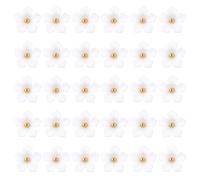 QUARKZMAN 30Pcs A Gambo A Forma Di Fiore 13mm Bottoni A Gambo In Plastica A Fiore Bottoni Decorativi Per Cucito Per Abbigliamento Camicie Gonne Vestiti Decorazioni Blusa Lavori F Da Te