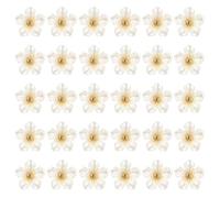 QUARKZMAN 30Pcs A Gambo A Forma Di Fiore, 13mm Bottoni A Gambo In Plastica A Forma Di Fiore Bottoni Da Cucito Decorativi Per Abbigliamento Camicie Gonne Abiti Decorazioni Blusa DIY