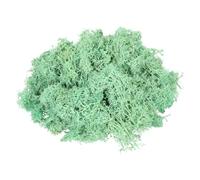 QUARKZMAN 3oz Musgo De Reno Preservado, Musgo Artificial Decorativo Verde para Plantas En Maceta Artesanías Interiores Líquenes Centros De Mesa Decoración