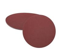 QUARKZMAN 5 Piezas De Discos De Lijado PSA De 200 Mm, Lija Autoadhesiva De Óxido De Aluminio De 150 Granos, Papeles De Lijado Redondos Sin Agujero Para Uso Húmedo/Seco, Para Pintura De Auto