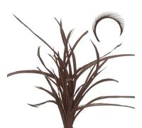 QUARKZMAN 60 Pcs Plumas Para Atado De Moscas A Granel 5.1-6.7 Pulgadas Colas Divididas De Stonefly Coloridas Y Materiales Para Alas Inferiores Biots De Ganso Para Manualidades DIY Café