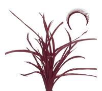 QUARKZMAN 60 Pcs Plumas Para Atar Moscas Al Por Mayor 5.1-6.7 Pulgadas Colas Divididas De Stonefly Coloridas Y Materiales De Colas De Alas De Plumas De Ganso Para Manualidades DIY Rojo