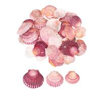 QUARKZMAN 60 Piezas De Conchas De Vieira 1.6"-2" Conchas De Mar Naturales Al por Mayor para Pintura DIY Acuario Paisaje Fiesta con Tema De Playa Boda Y Decoración del Hogar Color Púrpura