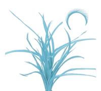 QUARKZMAN 60 Plumas Para Atar Moscas A Granel 13-17 cm / 5.1-6.7 Pulgadas Colas Divididas De Stonefly Coloridas Y Materiales De Alas Inferiores Biots De Ganso Para Manualidades DIY Azul Cian