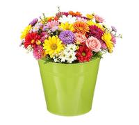 QUARKZMAN Baldes Metálicos Mini, 18 x 13 x 16.5cm / 7.09 5.12 6.5inch Pequeños Baldes Decorativos Con Asa, Recipientes De Hojalata Para Dulces, Botanas, Favores De Fiesta, Verde