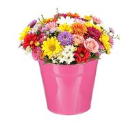 QUARKZMAN Baldes Metálicos Mini, 18x13x16.5cm/7.09x5.12x6.5inch Pequeños Baldes Decorativos Con Asa, Recipientes De Hojalata Para Dulces, Fiestas, Suculentas, Plantas Rojo Rosa