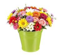 QUARKZMAN Baldes Metálicos Mini, 7 x 5 x 6cm / 2.76 1.97 2.36 Pulgadas Pequeños Baldes Decorativos Con Asa, Recipientes De Hojalata Para Dulces, Fiestas, Favores, Suculentas O Verde