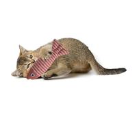 QUARKZMAN Juguete con Hierba Gatera Resistente A Mordidas, Duradero E Interesante, Pez Simulado para Gatos Juguete para Masticar Relleno De Hierba Gatera (Rojo), Diseñado.