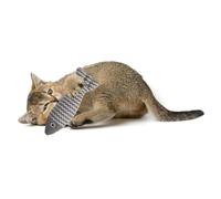QUARKZMAN Juguete De Hierba Gatera Resistente A Mordidas, Duradero E Interesante, Pez Simulado para Gatos Juguete De Masticar Relleno De Hierba Gatera (Gris), Diseñado para Dormitorio.