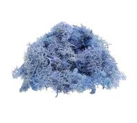 QUARKZMAN Musgo de Reno Preservado 4 OZ Musgo Falso para Manualidades Musgo Seco Artificial para Decoración Manualidades Terrarios Plantas en Maceta Centros de Mesa (Azul Cielo)